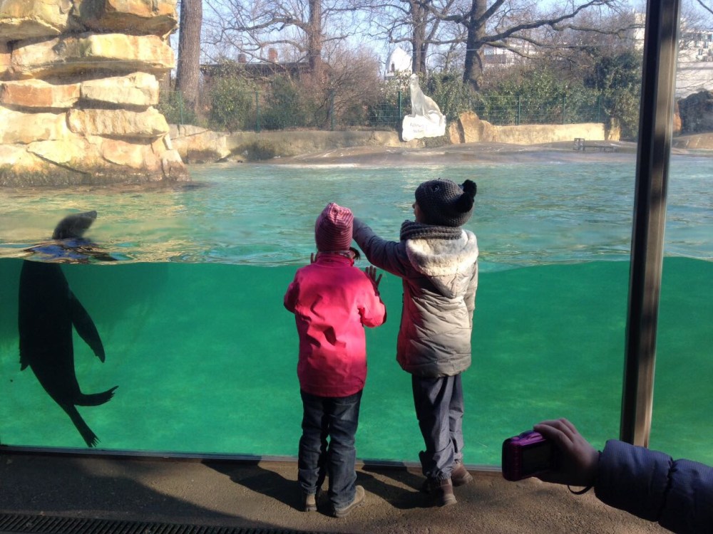 08571644-2ac7-4e88-ad5e-b13bf57205f9