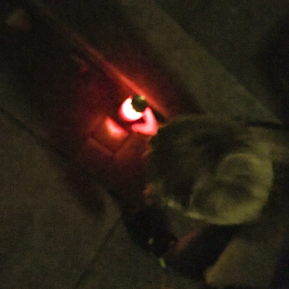 bb721a1d-6ad9-479e-855f-4a87a9e0d78d